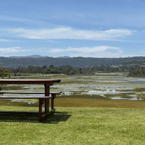 CARAVAN PARK KNYSNA 6