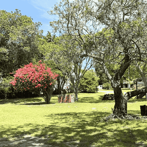 CARAVAN PARK KNYSNA 2